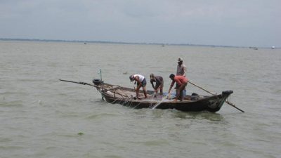 পদ্মা-মেঘনায় ইলিশ ধরা শুরু হচ্ছে