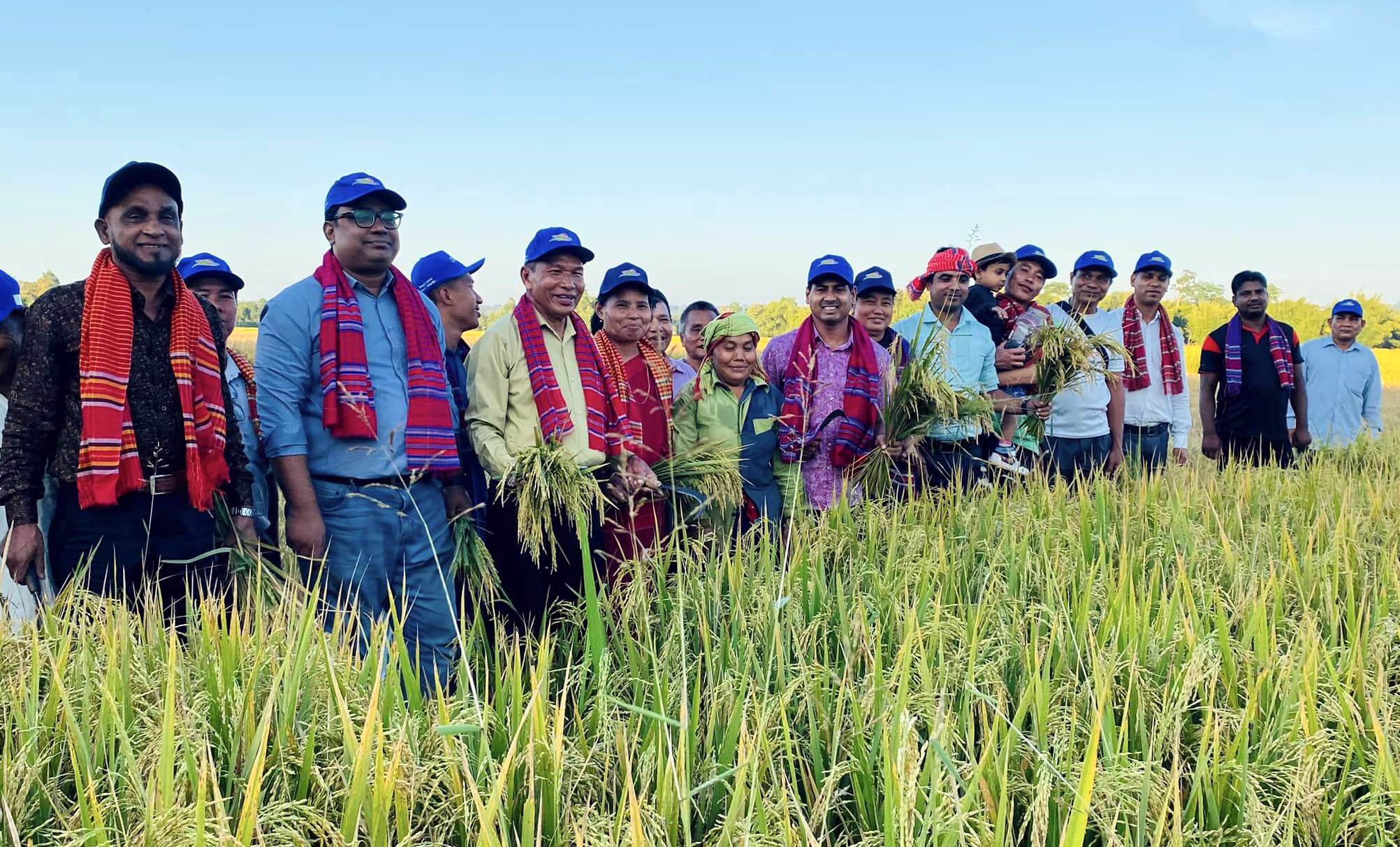 দীঘিনালায় আমন ধানে নবান্ন উৎসব শুরু