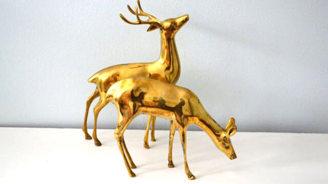 ২৬ বছরেও পাহাড়ে অঁধরা শান্তি নামের সোনার হরিণ