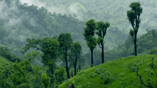 অরক্ষিত সীমান্তে ‌দিয়ে যাচ্ছে পাহাড়ের সন্ত্রাসীদের হাতে অবৈধ অস্ত্র