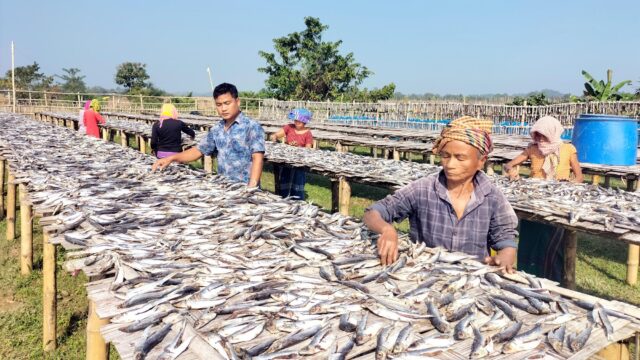 শুটকিতে প্রতিমাসে সজিবের আয় ৮০হাজার টাকা