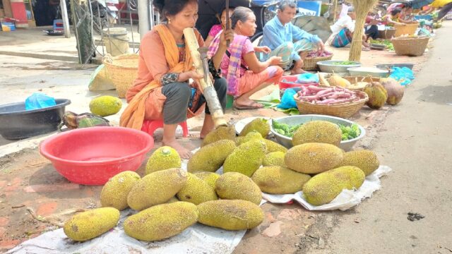 পাঁকার চেয়ে কাঁচা কাঁঠালের চাহিদা বেশি