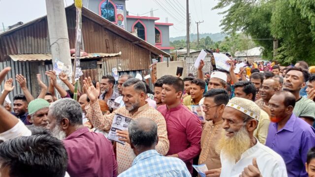 খাগড়াছড়িতে আনারসের গণজোয়ার