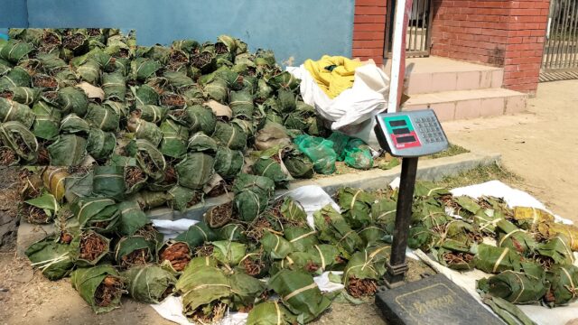 পাহাড়ের টক-মিষ্টি তেঁতুলের কদর বেড়েছে সমতলে