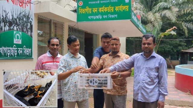 খাগড়াছড়িতে ৬টি পাহাড়ি ময়না উদ্ধার