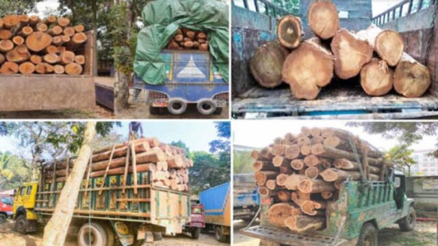 রাতের আঁধার অবৈধ পাঁচাকারীদের অভয়ারণ্য