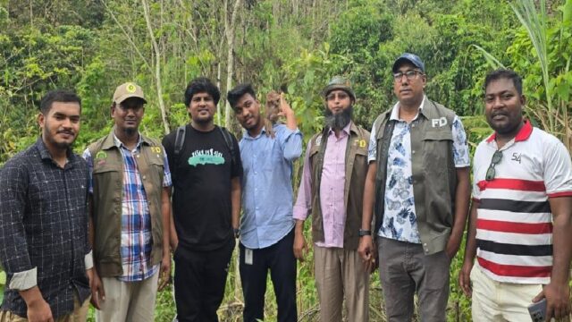 গহীন বনে রেসাস প্রজাতির বানর শাবক অবমুক্ত