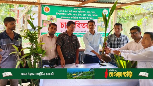 কৃষকদের মাঝে চারা বিতরণ