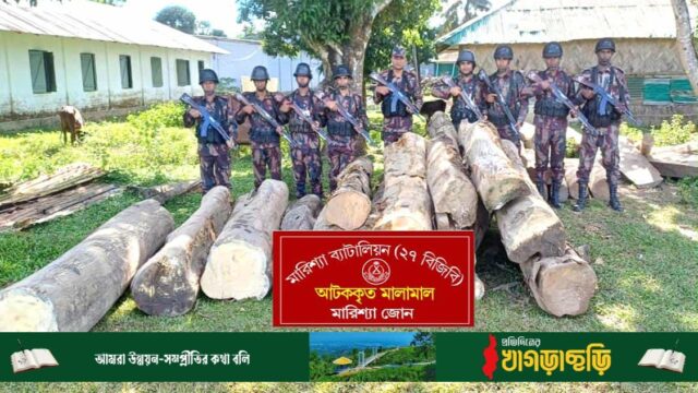 বাঘাইছড়িতে অবৈধ গোলকাঠ জব্দ