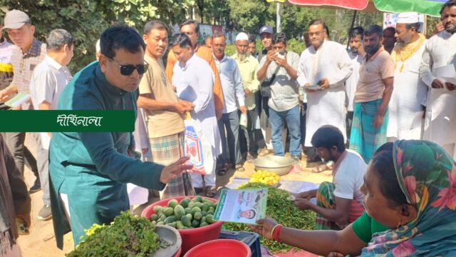 বিএনপির ধানের শীষের প্রচারণা