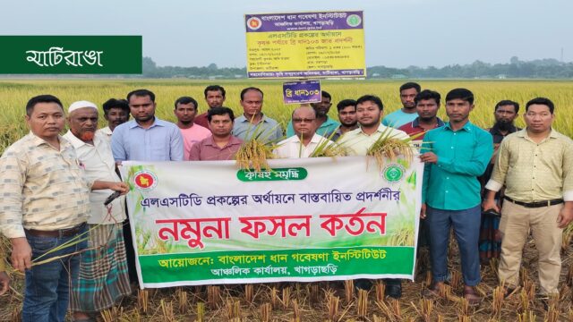 ব্রি ধান১০৩ এর ফসল কর্তন ও মাঠ দিবস পালিত