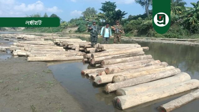 ঝিরিপথে পাচারকালে বিপুল অবধৈ কাঠ জব্দ