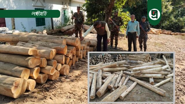 সেনা অভিযানে বিপুল অবৈধ কাঠ জব্দ