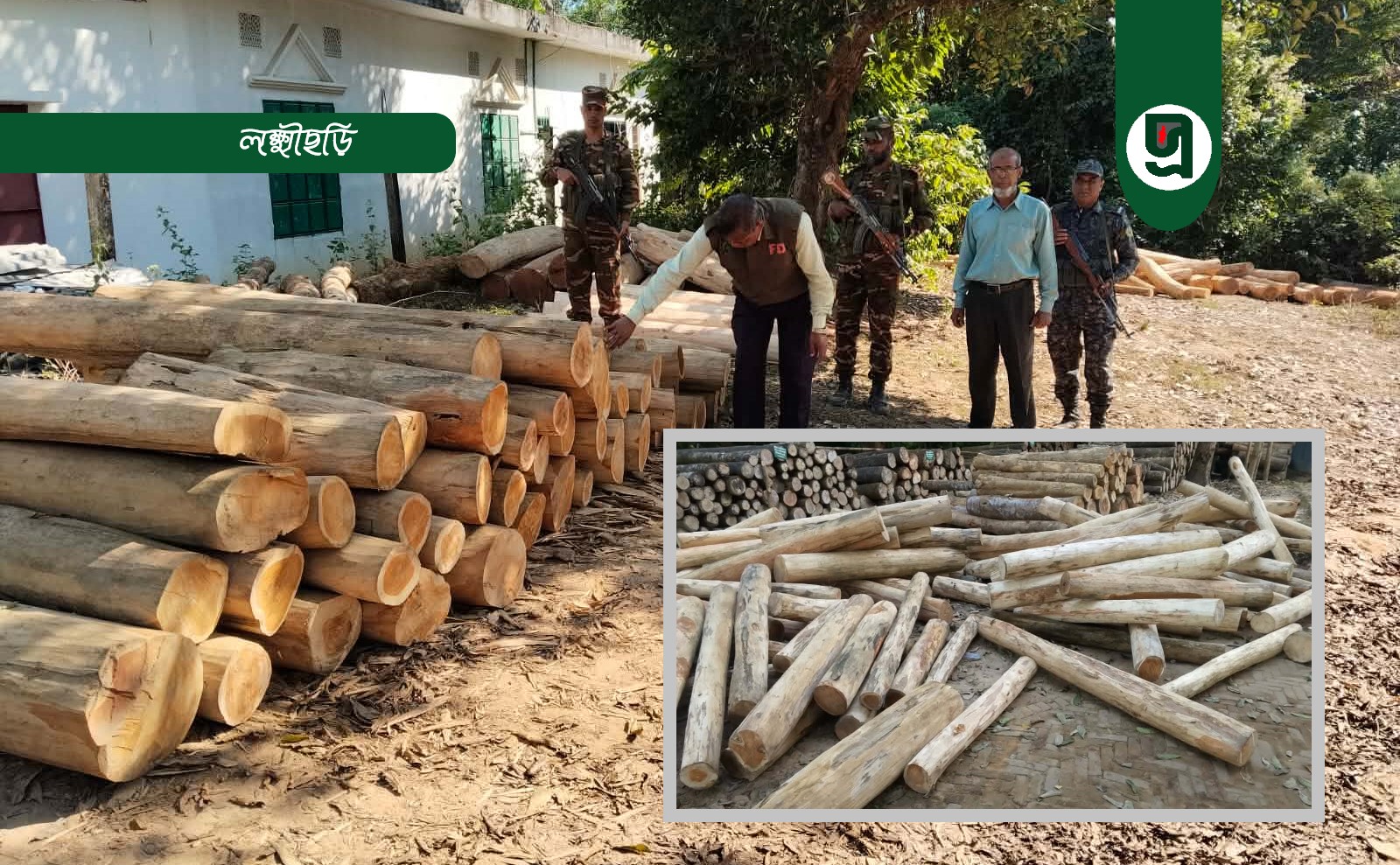সেনা অভিযানে বিপুল অবৈধ কাঠ জব্দ