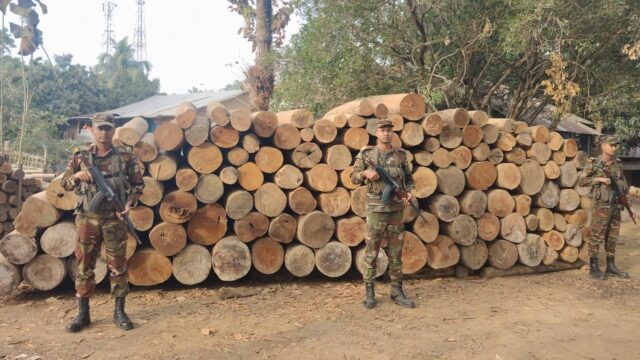 সেনা-ফরেস্ট যৌথ অভিযানে অবৈধ গোল কাঠ জব্দ