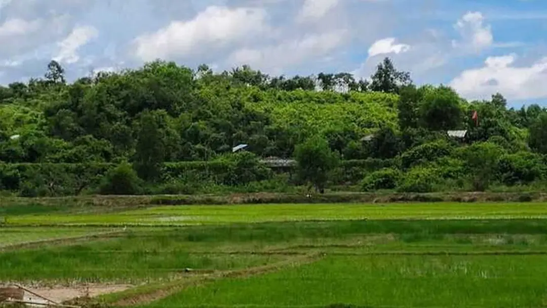 মাইন বিস্ফোরণে ৩ বাংলাদেশি নিহত