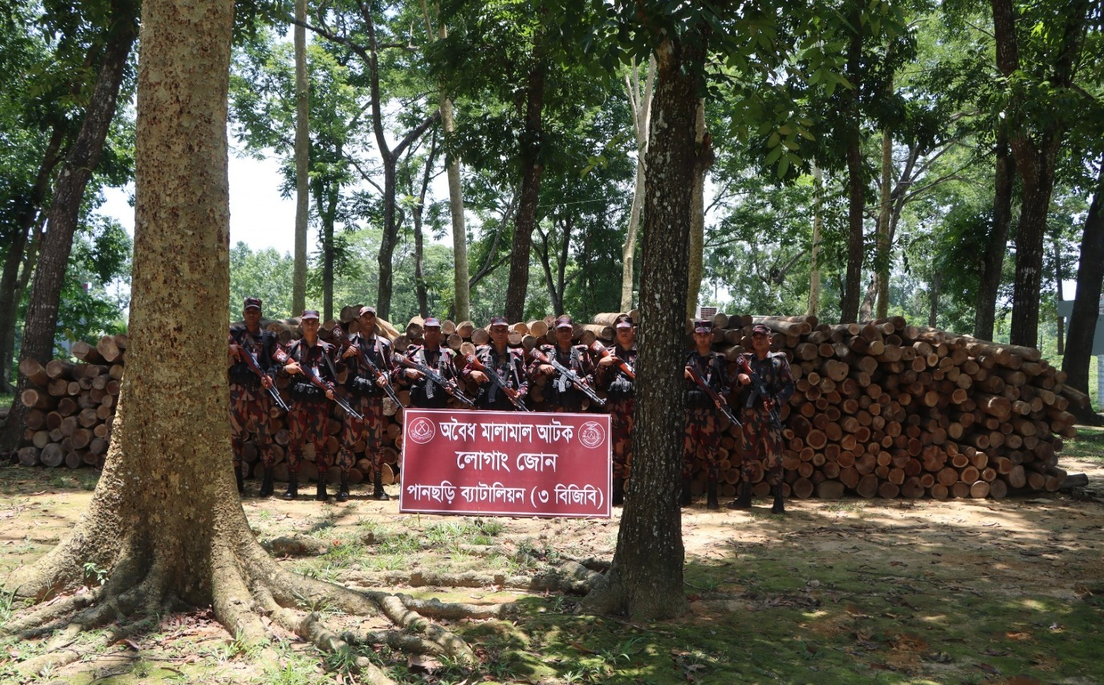 বিজিবির অভিযানে বিপুল অবৈধ সেগুন কাঠ উদ্ধার
