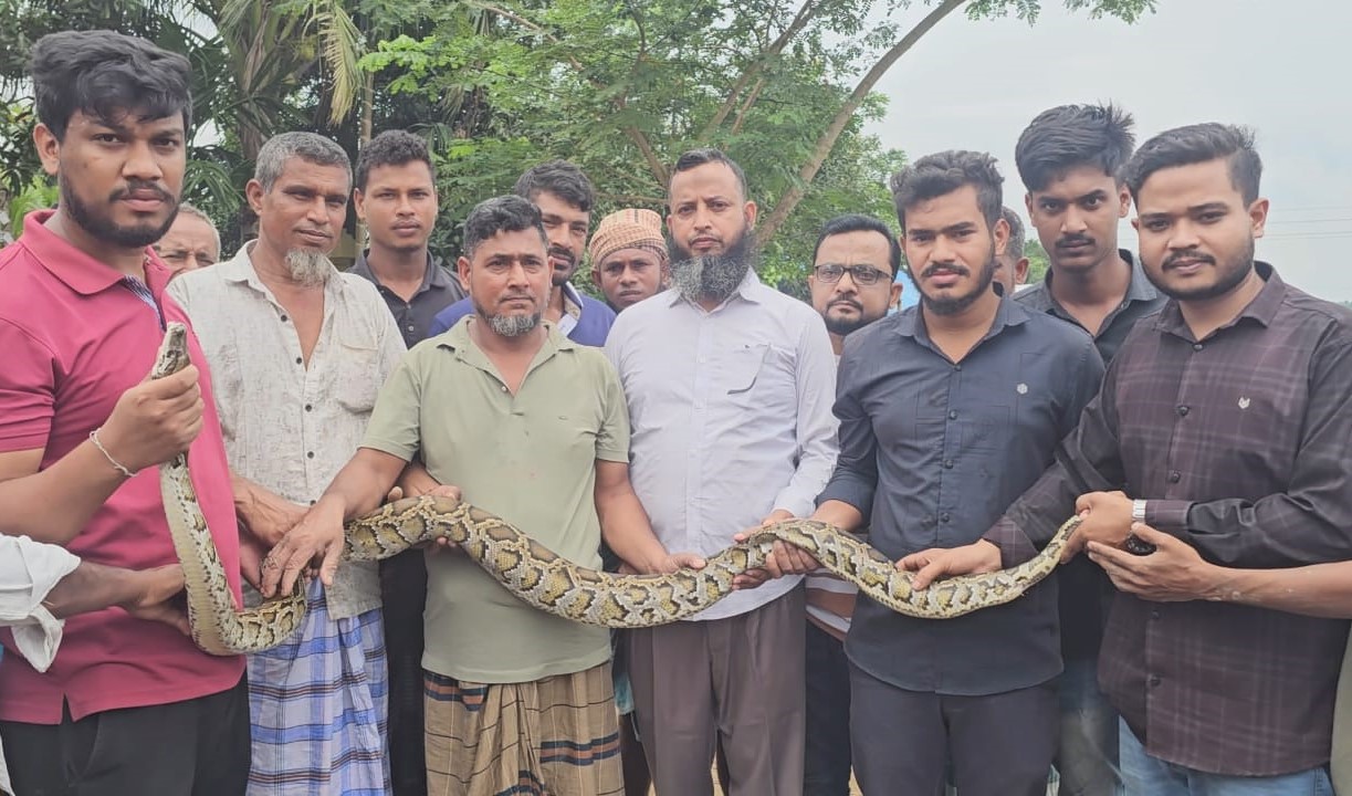 জালে আটকা পড়লো ৮ ফুট অজগর