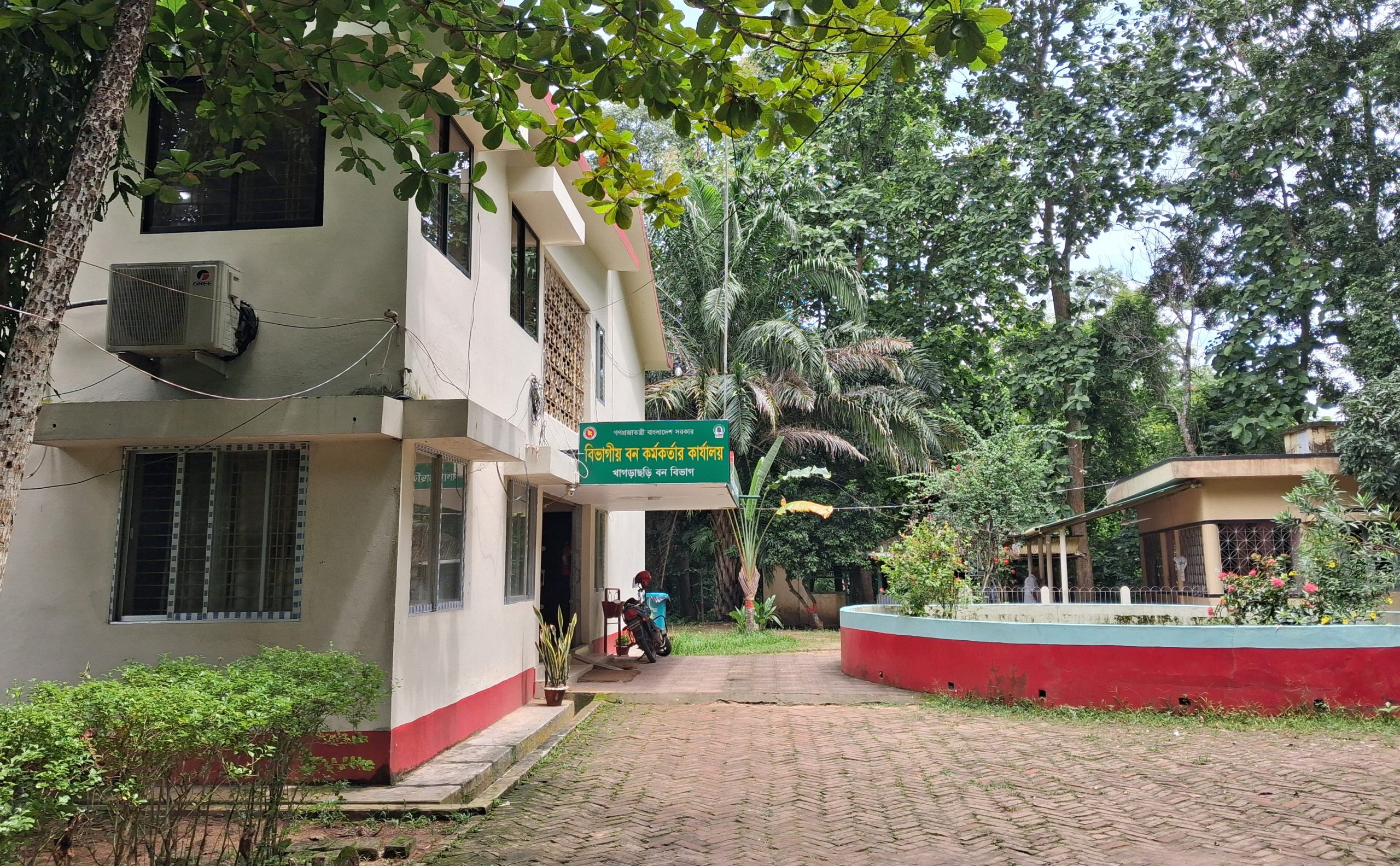 বন রক্ষায় আলুটিলায় ১৫ একর বাঁশ লাগাবে বন বিভাগ